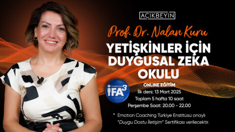 duygusal zeka okulu