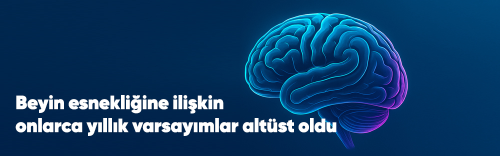 Yeni Dünyanın Cesur İnsanı Kampı