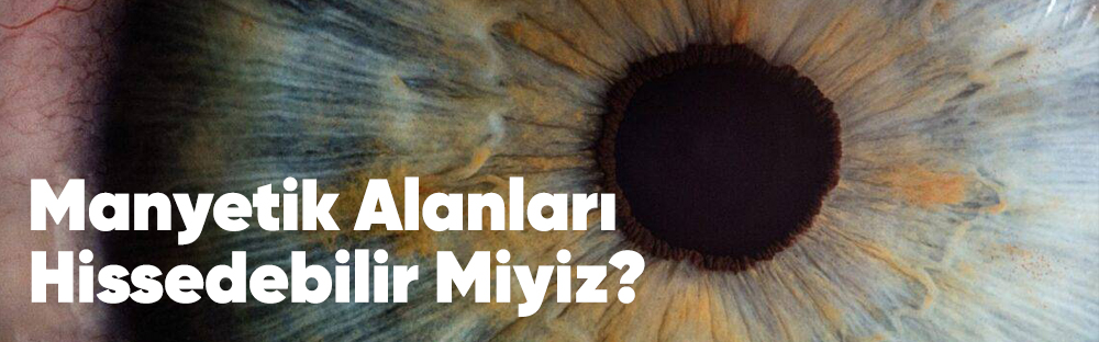 AçıkBeyin Bursu